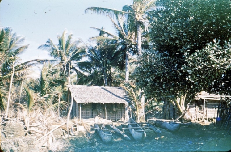 Une case de village de pêcheurs et leurs pirogues