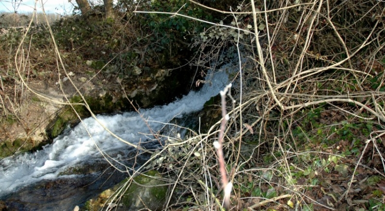 Le ruisseau de la Gorette près du Moulin Neuf. (Ph. J. CHASSAGNE - JP GUILLOU 2009)
