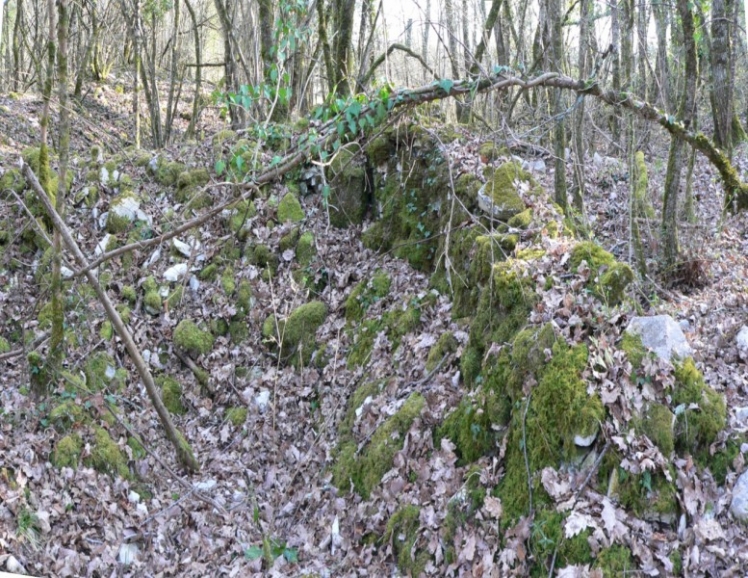Restes de murs d'une pièce du Logis. (Ph. G. BRANCHUT 2009)