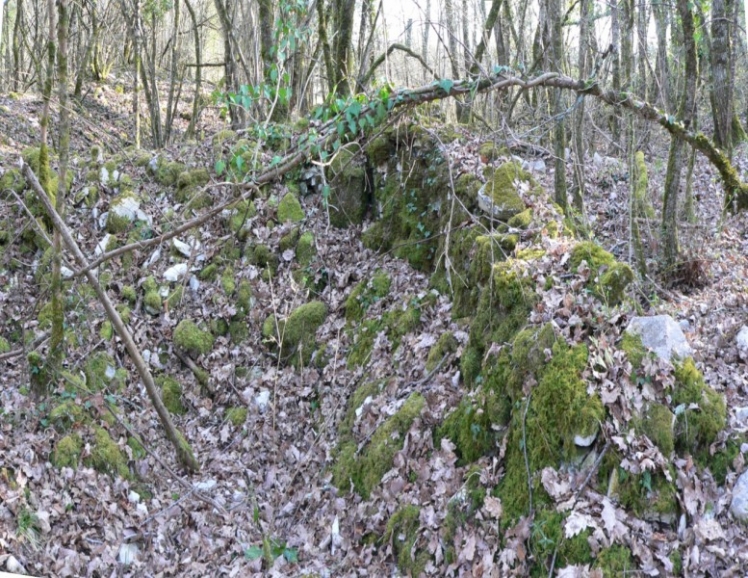 Restes de murs d'une pièce du Logis. (Ph. G. BRANCHUT 2009)